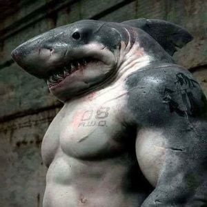 Meet your Posher, Fidel